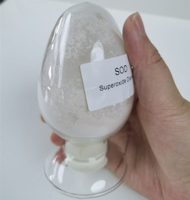 Mn / Fe SOD Superoxide Dismutase Trong 50000 iu / G Bảo quản nhiệt độ bình thường
