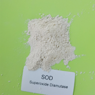 Lên men vi sinh SOD2 Mn / Fe Superoxide Dismutase Lớp mỹ phẩm