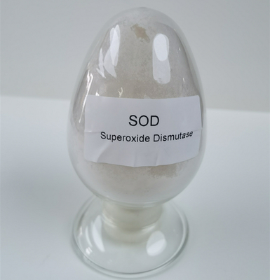 Cấp thực phẩm SOD2 Mn / Fe Chất chống oxy hóa Superoxide Dismutase Bổ sung 99% Độ tinh khiết