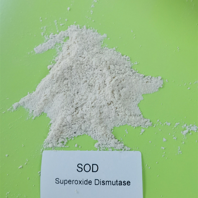 Giấy phép sản xuất thực phẩm SOD2 Superoxide Dismutase trong chăm sóc da 50000iu / G