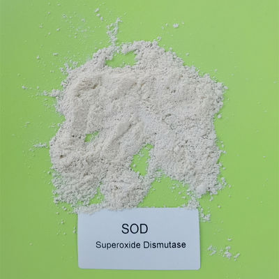 PH 4-11 Superoxide Dismutase SOD Powder 50000iu / g
