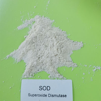 SOD Chất chống oxy hóa Superoxide Dismutase 99% 500000iu / g