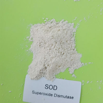 Cấp thực phẩm 50000iu / g Superoxide Dismutase Trong Chăm sóc da 9054-89-1