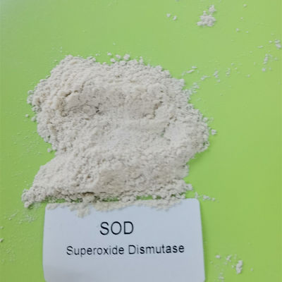 9054-89-1 99% Superoxide Dismutase Trong Chăm sóc Da