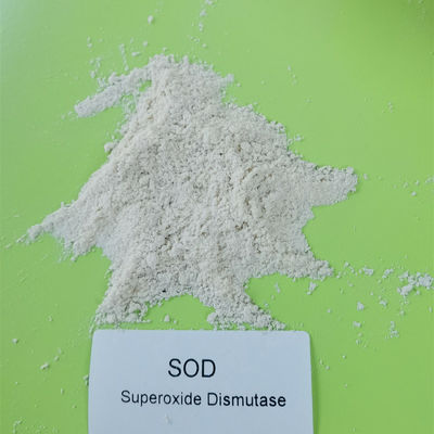 CAS 9054-89-1 50000iu / g Superoxide Dismutase Chống lão hóa