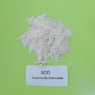 Bột trắng thực phẩm loại 99% Superoxide Dismutase cho da