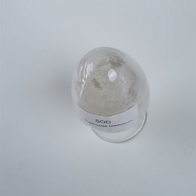 99% White SOD Superoxide Dismutase Powder 500000 iu / g