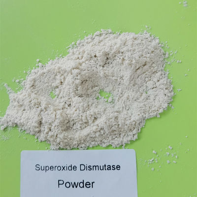 Nguyên liệu thô cấp thực phẩm Superoxide Dismutase Powder PH 4-11