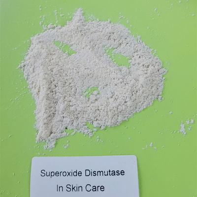 Cấp thực phẩm Superoxide Dismutase SOD Chống lão hóa