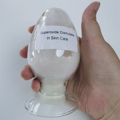 Bột làm trắng chống nhăn Superoxide Dismutase CAS 9054-89-1