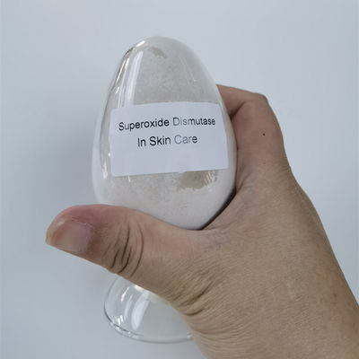CAS 9054-89-1 Superoxide Dismutase Trong Mỹ phẩm 50000iu / g