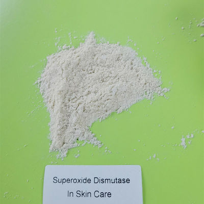 Chăm sóc da Nguyên liệu Superoxide Dismutase Trong Mỹ phẩm 50000IU / g