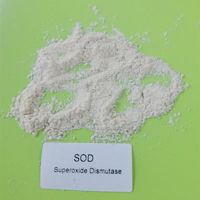Tinh khiết 99% chiết xuất vi sinh Superoxide Dismutase trong mỹ phẩm CAS 9054-89-1