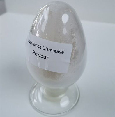 Phạm dược EINECS 232 943 0 Superoxide Dismutase Powder With Enzyme Activity with Enzyme Activity 50000iu / g