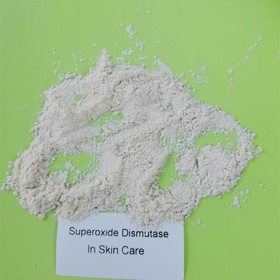 Lên men vi sinh bảo vệ tế bào SOD Superoxide Dismutase trong mỹ phẩm